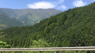 田舎の山道